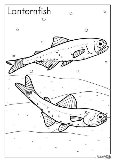 Lanternfish Letter E Printable