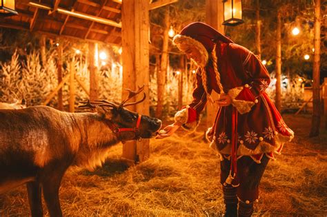 Discover Magical Lapland UK Experiences Await