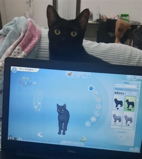 Laptop Gets Hot Playing Sims