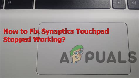 laptop synaptics touchpad not working