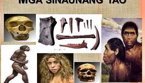 Pamumuhay sa Panahong Prehistoriko ng mga Sinaunang Pilipino (Paleole…