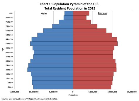 large 20-30 year old population pyramid