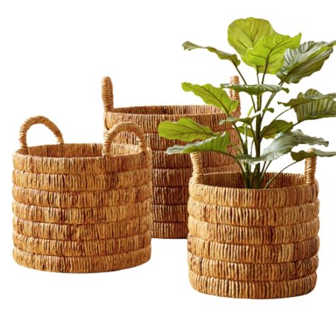 Large Baskets For Large Plants