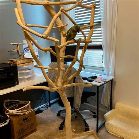 Large Bird Tree Stand