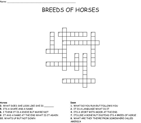 large breed of horse crossword clue