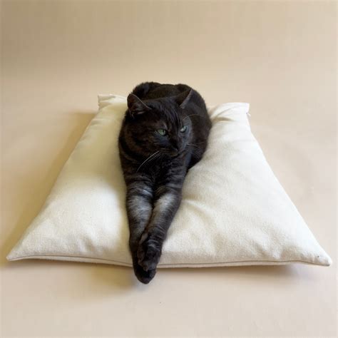 Large Cat Bed Pillow