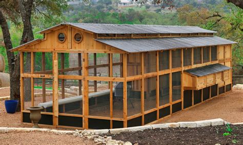 Large Chicken Coop Construction
