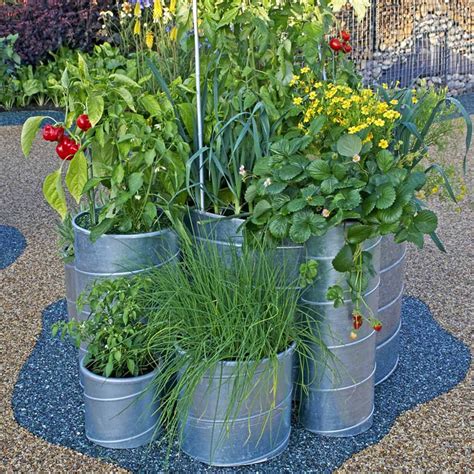 large container vegetable gardening