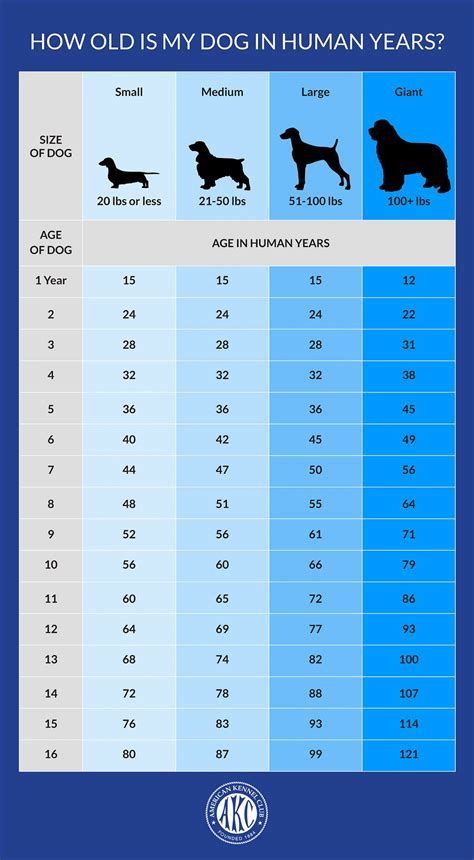 Large Dog Age Chart