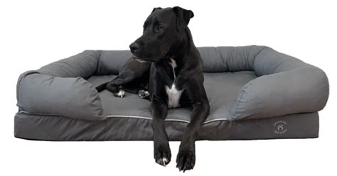 Large Dog Beds Australia