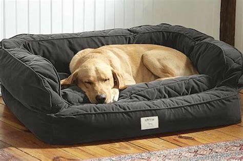 large dog beds for greyhounds