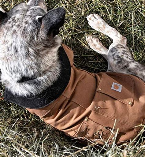 Large Dog Carhartt Jacket