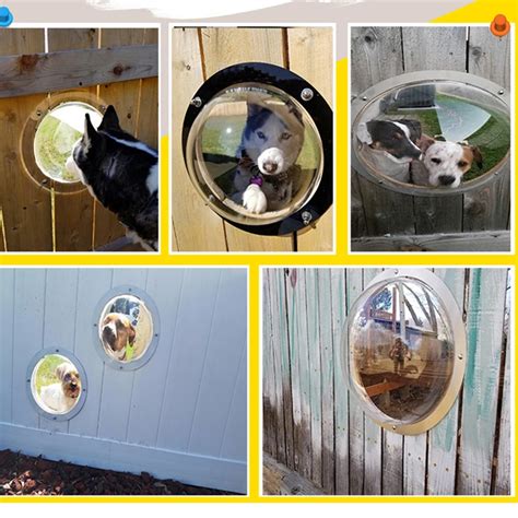 Large Dog Fence Bubble