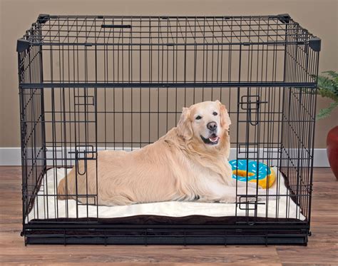large double dog crate