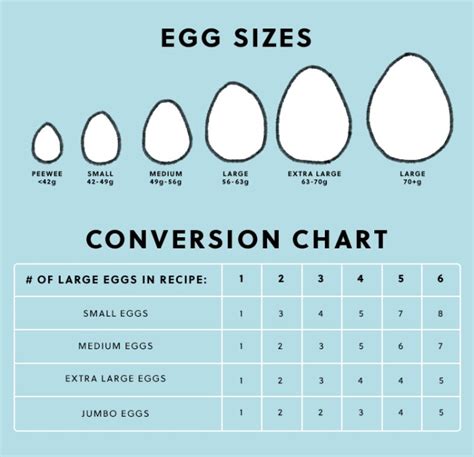 Large Eggs How Many Grams
