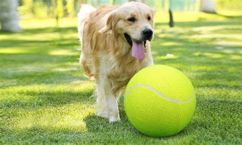 Large Exercise Ball For Dogs
