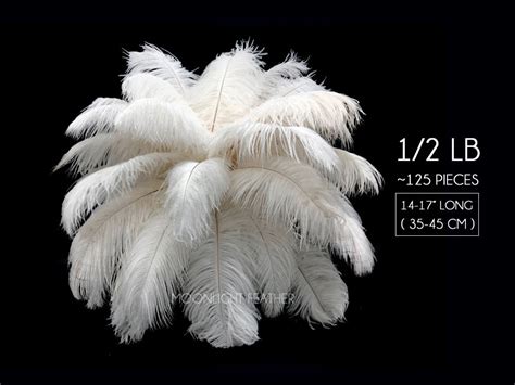 Large Feathers In Bulk