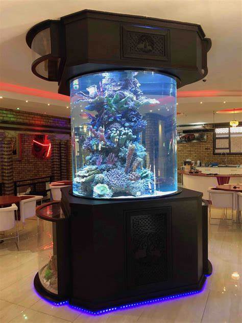 large fish tanks for sale