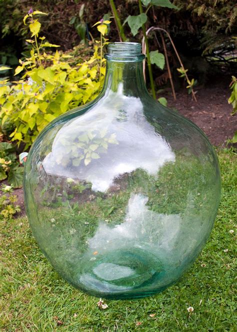 large glass terrarium bottles