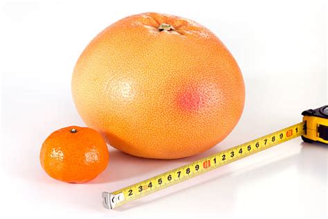 Large Grapefruit Size