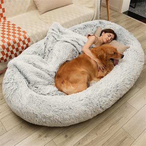 large grey dog bed