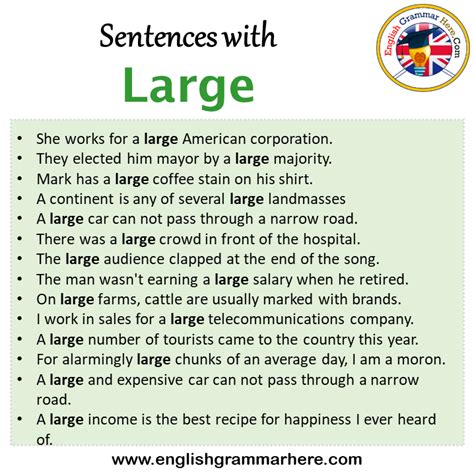 large in a sentence examples
