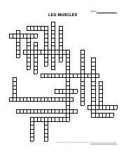 Muscle Anatomy Crossword