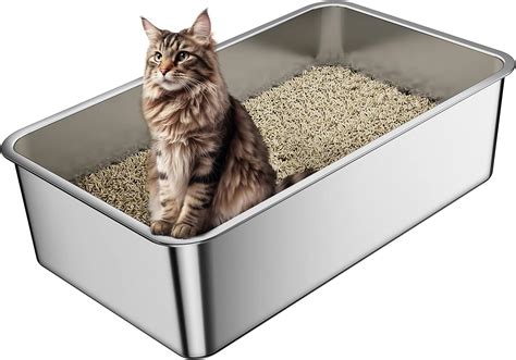 Large Litter Boxes For Large Cats