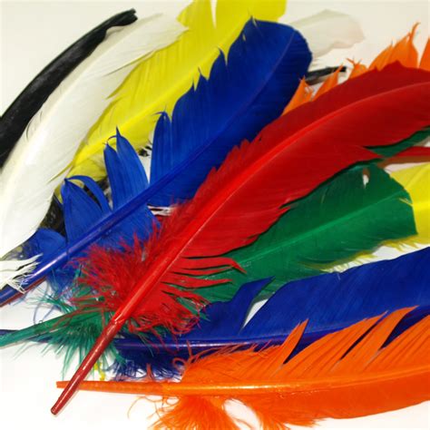 Large Quill Feathers