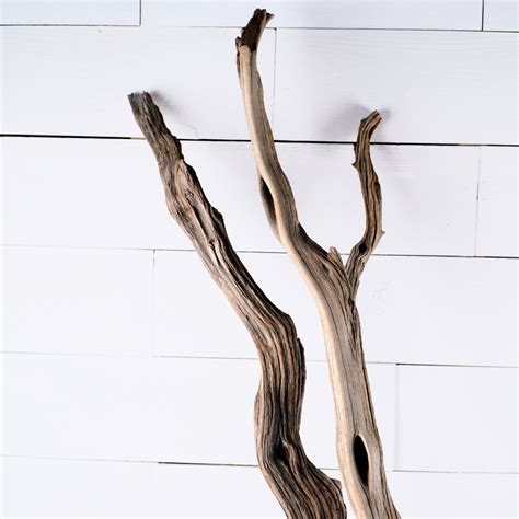 Large Reptile Branches