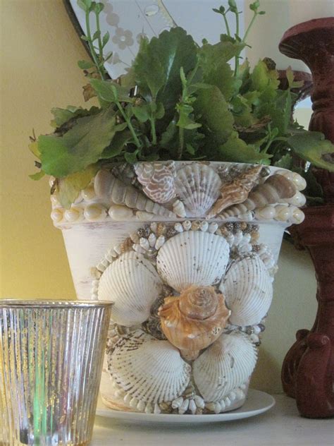 Large Seashell Ideas