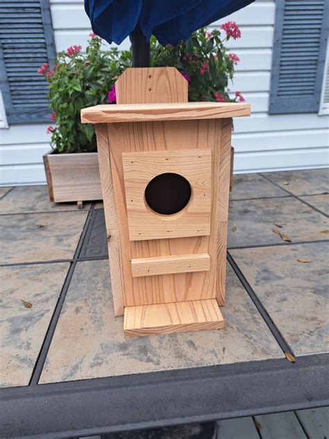 Large Squirrel Nesting Box
