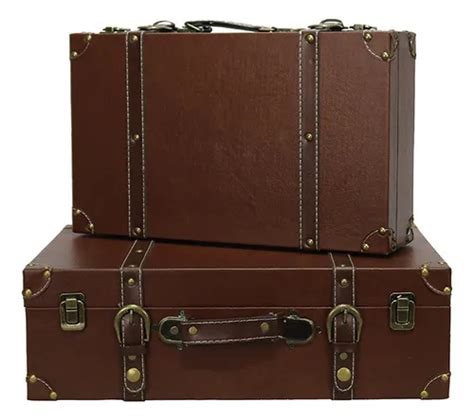 Large Suitcase Storage Box