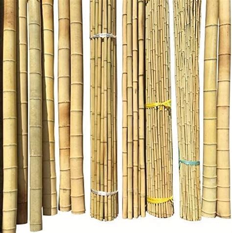 Large Thick Bamboo Canes