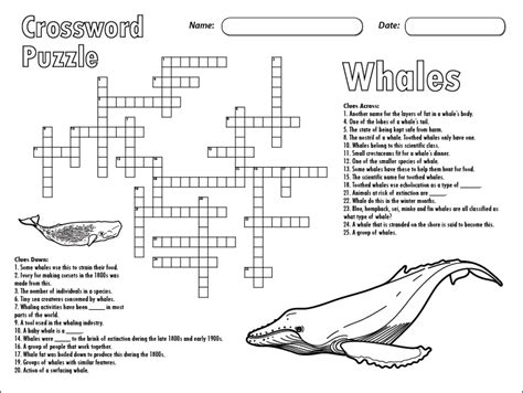 large whale crossword clue