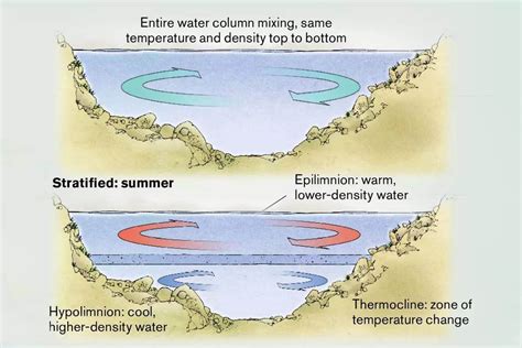 Largemouth Bass Temperature