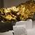 largest gold nugget found in colorado