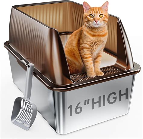 Largest Cat Litter Size