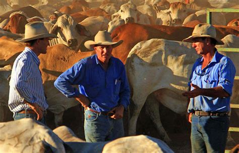 largest cattle owner in us