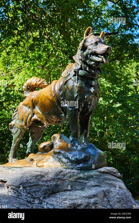 Largest Dog Statue