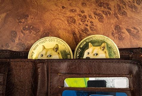 largest doge coin wallets