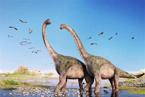 largest land dinosaur of all time