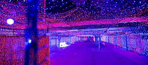 Largest Led Christmas Lights