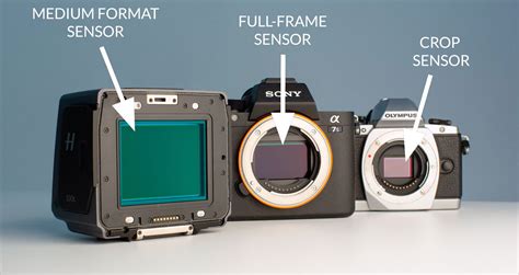 Largest Medium Format Digital Sensor