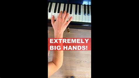 Largest Piano Hands