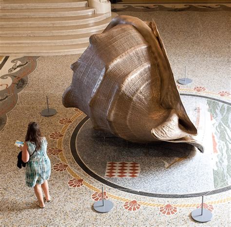 Largest Seashell Ever Found