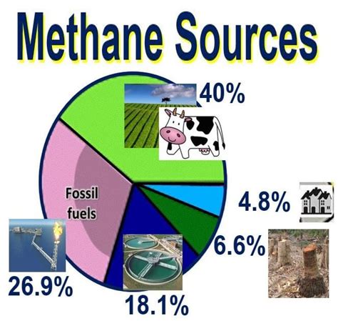 largest source of methane gas