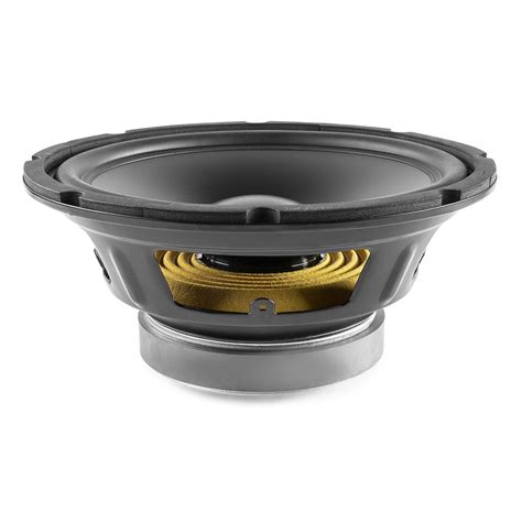 Largest Speaker Cone