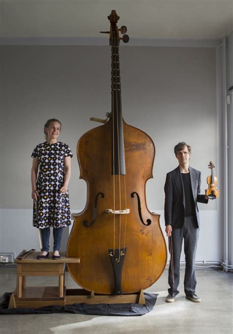 Largest String Instrument Of The Orchestra
