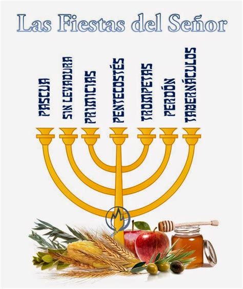 las 7 fiestas de israel